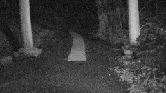 実録!!ほんとにあった恐怖の投稿映像 〜怨嗟の地縛霊〜
