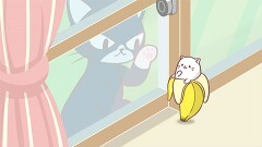第8話　ばなにゃ、のらねこにゃ