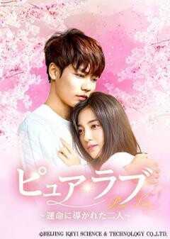 ピュア・ラブ 〜運命に導かれた二人〜（全24話）（字幕）	