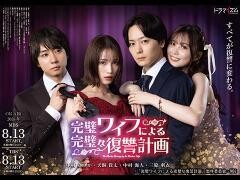 完璧ワイフによる完璧な復讐計画