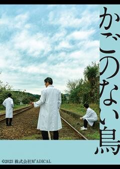 かごのない鳥