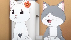 二杯目 ハナちゃんのプロ意識／製麺室の虎