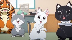 九杯目 消えたコンフィ事件／虎の威学べず／ヒミツでもないけど