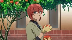 第17話 Gather ye rosebuds while ye may.