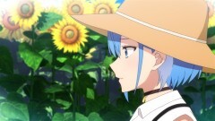#10 ヒマワリの花言葉