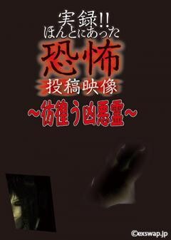 実録‼ほんとにあった恐怖の投稿映像　〜彷徨う凶悪霊〜