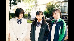 イルカはフラダンスを踊るらしい