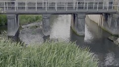 ビクっ！驚嘆心霊動画 10選 3
