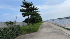 PV