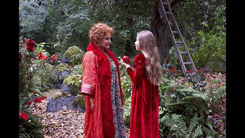 ヴィオレットと不思議な森(吹替)