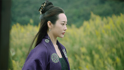 雪中悍刀行～徐鳳年、北椋王への道～ #29