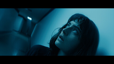 ダブル・ブラインド　命の報酬（吹替）