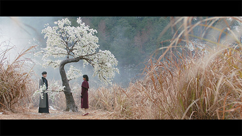 香華の誓い 第28話 「愛の樹の永遠」