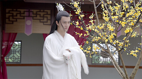 白狐伝～神君に捧ぐ霜華の誓い～ 第四話「欺きの宴　偽りの愛に沈む月」