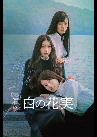 白の花実