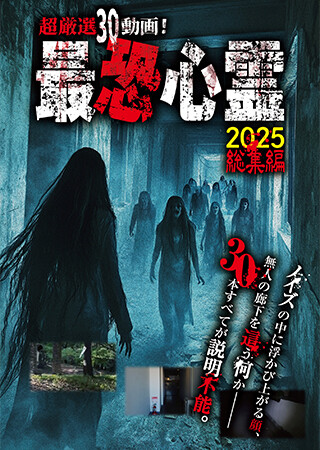 超厳選30動画！最恐心霊2025 総集編