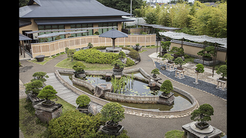 一度は行きたい美術館 大宮盆栽美術館