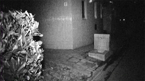 実録!!ほんとにあった恐怖の投稿映像 怪談 四