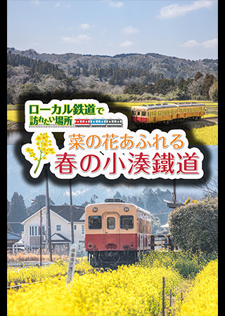 ローカル鉄道で訪れたい場所 菜の花あふれる春の小湊鐵道