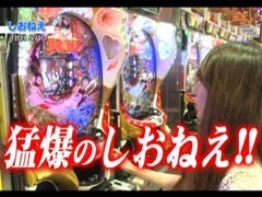 #19 ﾊﾟﾁﾄﾗ3?CRﾙﾊﾟﾝ三世/CRﾄﾞｷﾄﾞｷｶﾞｰﾙｽﾞｽﾎﾟｯﾄ299F