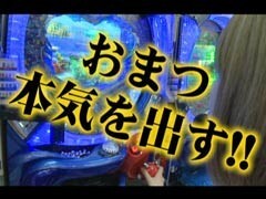 #21 ﾊﾟﾁﾄﾗ3?CR大海物語2/CRｾﾞﾌﾞﾗｰﾏﾝ/北斗の拳剛掌
