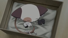 第8話 こねこ色の黒と白