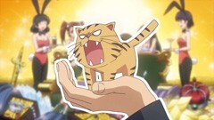 第14話 しあわせの手乗りﾀｲｶﾞｰ