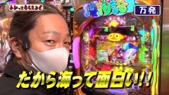 #213 わかってもらえるさ/海JAPAN2 金富士319/仮面ライダー 轟音/クィーンII DX/新・必殺仕置人 TURBO