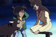 第266話 ﾊﾞﾚﾝﾀｲﾝの真実(事件編)