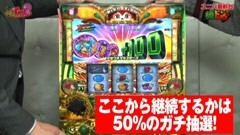 #44 ユニバTV2/緑ドン VIVA2