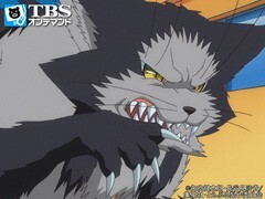 #18 猿山がお土産