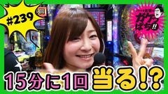 #239 ガケっぱち!!/レギュラー