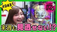 #243 ガケっぱち!!/嶋田 修平（シマッシュレコード）