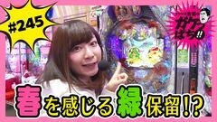 #245 ガケっぱち!!/山名 文和（アキナ）