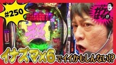 #250 ガケっぱち!!/山内 健司（かまいたち）