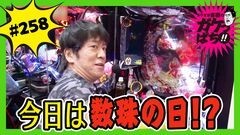 #258 ガケっぱち!!/中川パラダイス（ウーマンラッシュアワー）