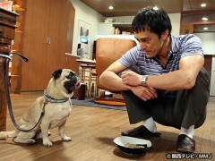 ＃８ 犬がキライで悪いか！