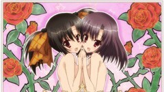 第3話 金平糖より愛をこめて