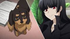 第壱話 犬も歩けば棒に当たる