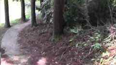 #6 鳥居だけ