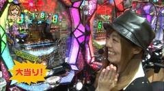 #5 パチマガ シーズン12/アニマルパラダイス/ビッグドリーム/北斗無双
