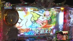 #8 髭原人に出させてみました。/ﾊﾟﾁｽﾛ｢ﾃｲﾙｽﾞ ｵﾌﾞ ﾃﾞｽﾃｨﾆｰ｣
