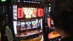 #776 射駒タケシの攻略スロットVII/まどマギ/熊酒場2丁目店