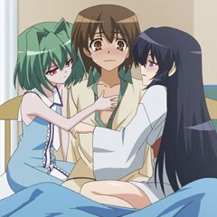 第4話 野井原の白いネコ