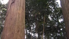 #7 学問所