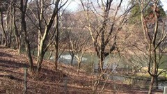 #8 美術館の庭園