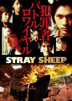 STRAY SHEEP