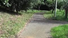 #4 記念公園