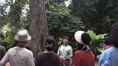 #1 植物園