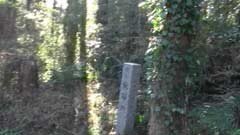 ＃１０　山の上の神社